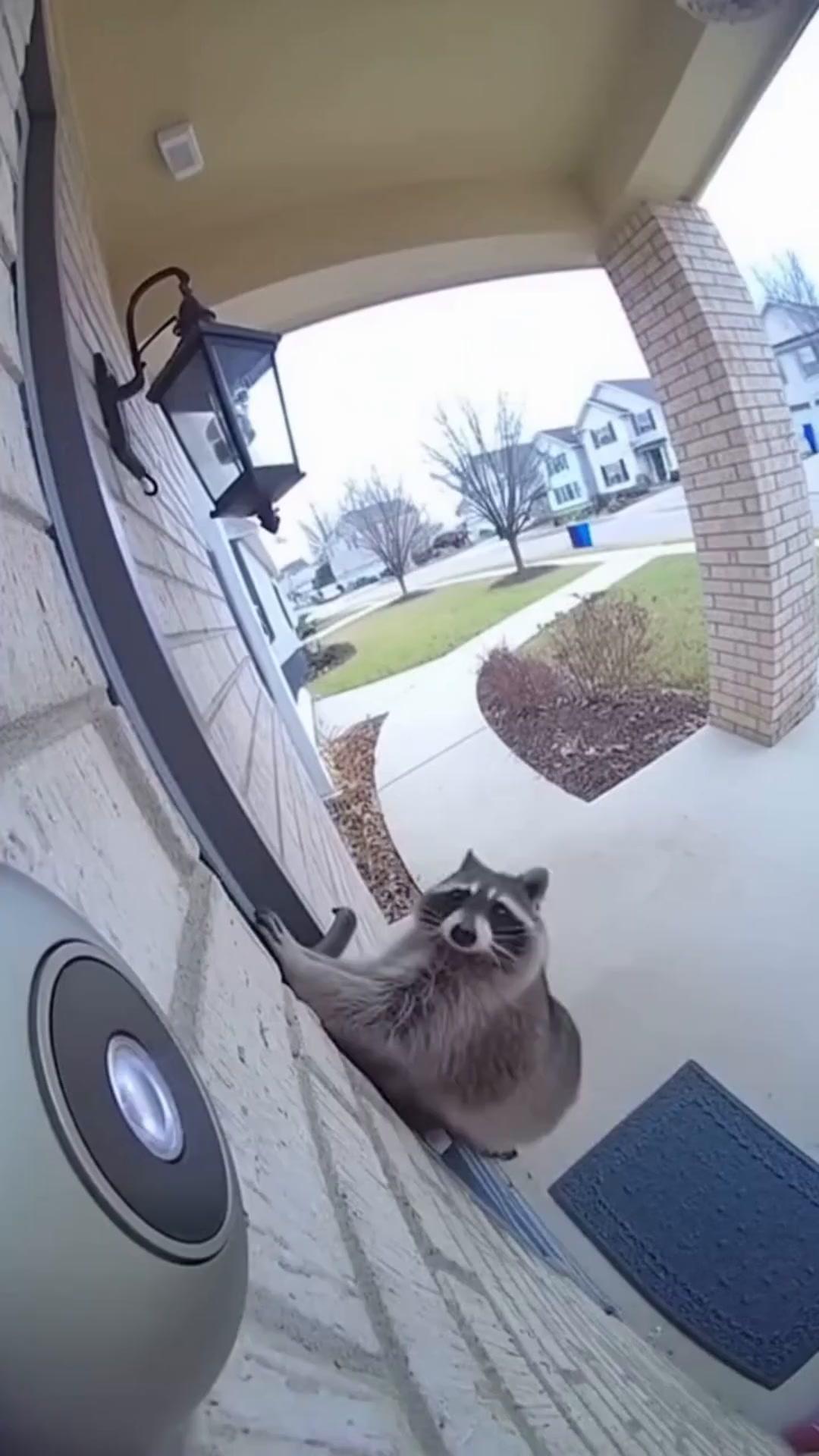 Sora 2 Ring Doorbell POV AI Video